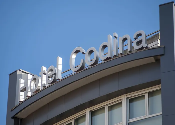 Sercotel CodinaAlbergo